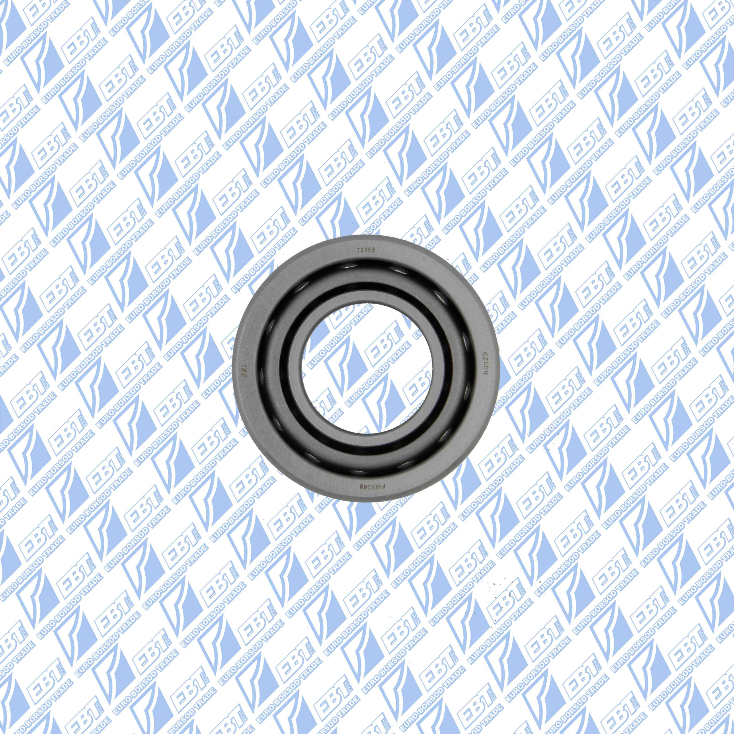 7224 BCBM     (SKF)